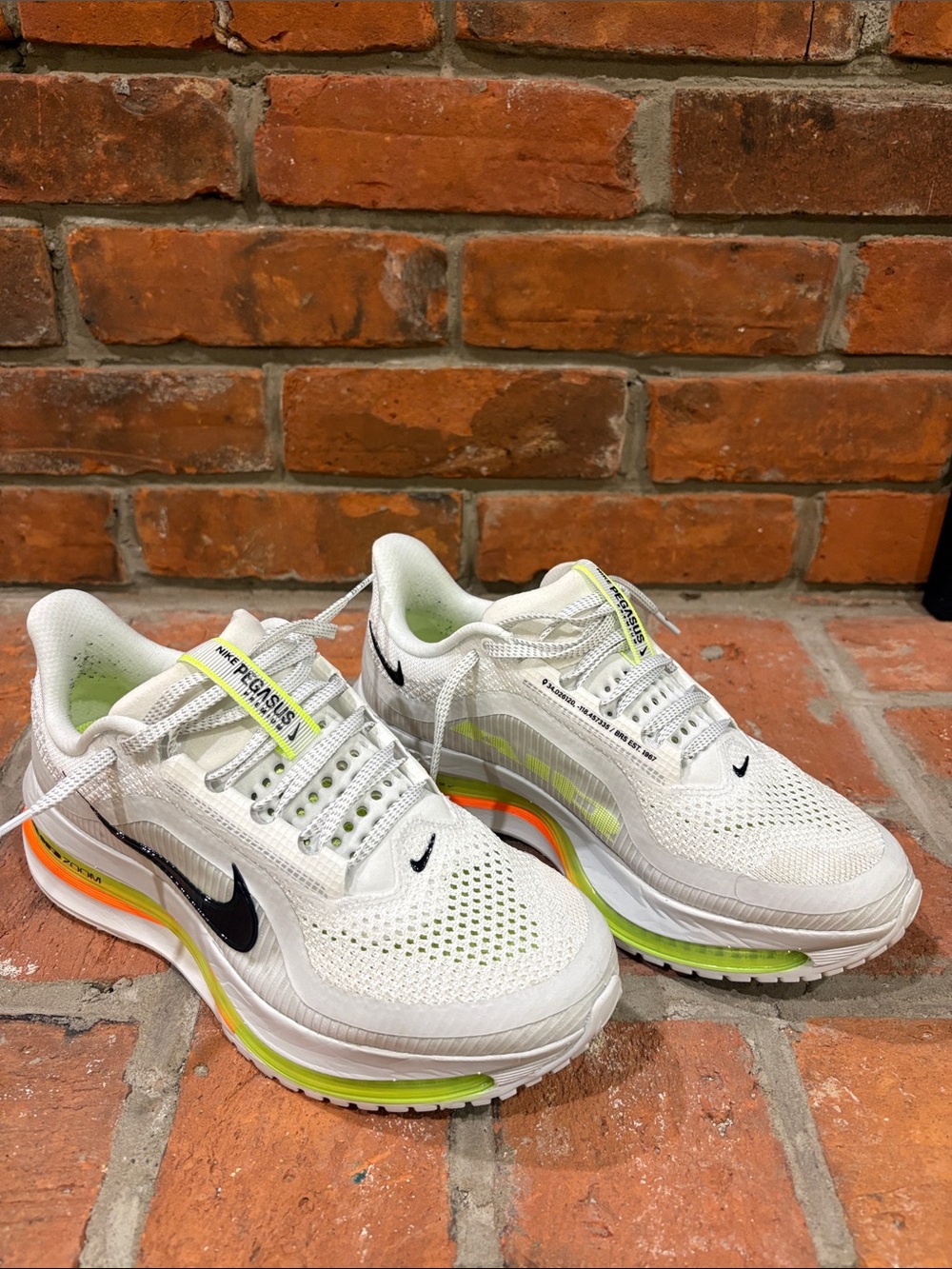 Nike air zoom Pegasus running shoes